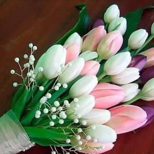 Meet your Posher, Enas